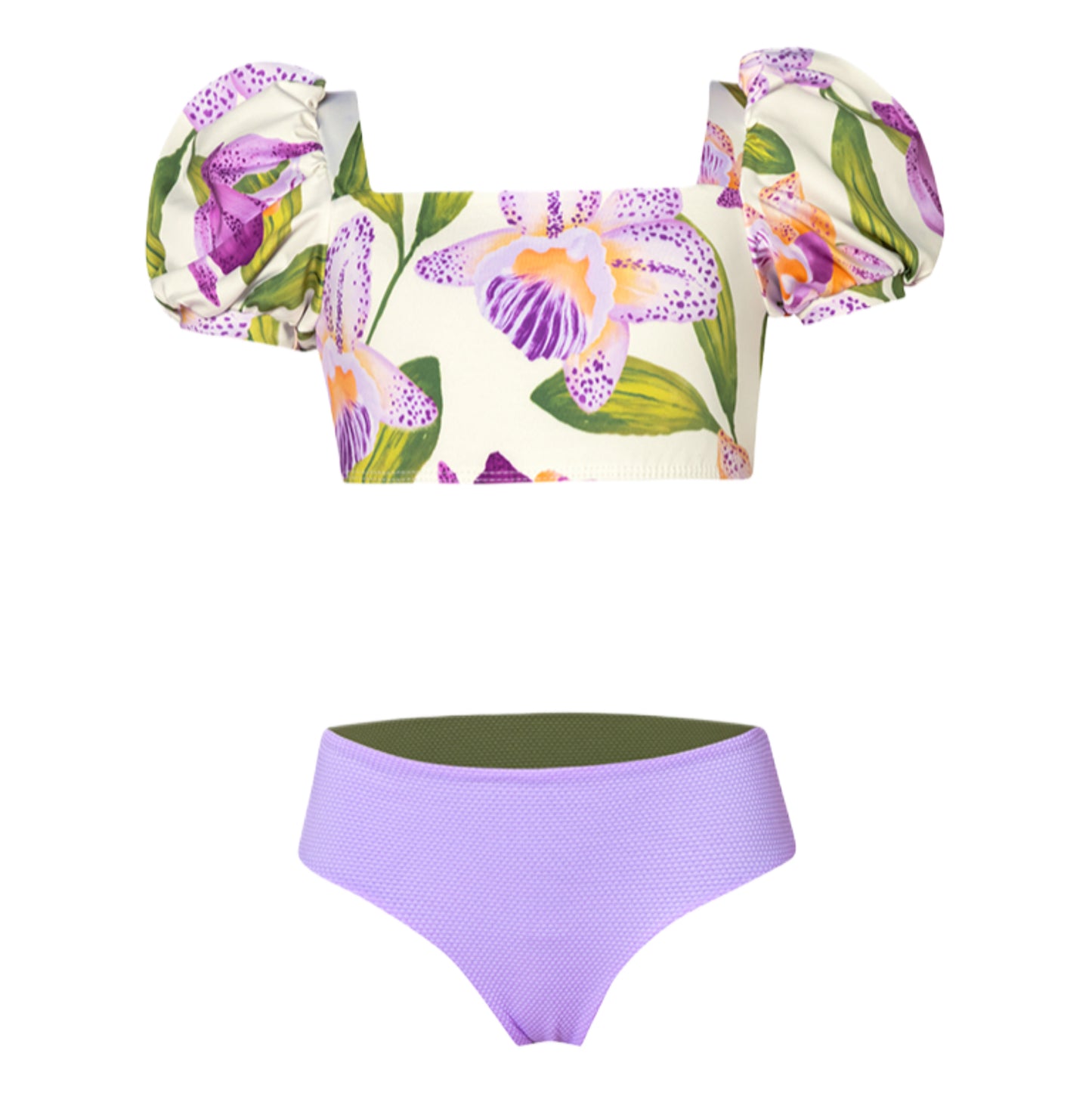 Orquideas Anggie Crudo