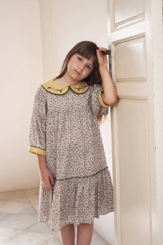 Embroidered Collar Dress