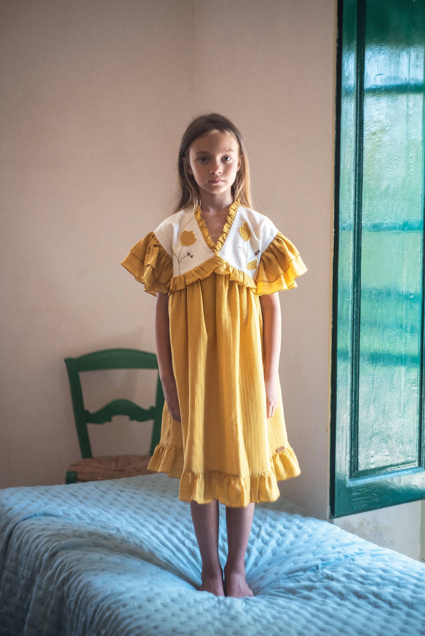 Embroidered Yoke And Appliqué Ochre Dress