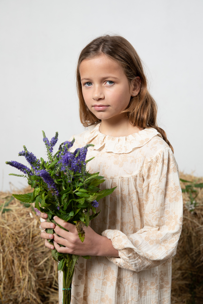 Isabella Dress Embroidery