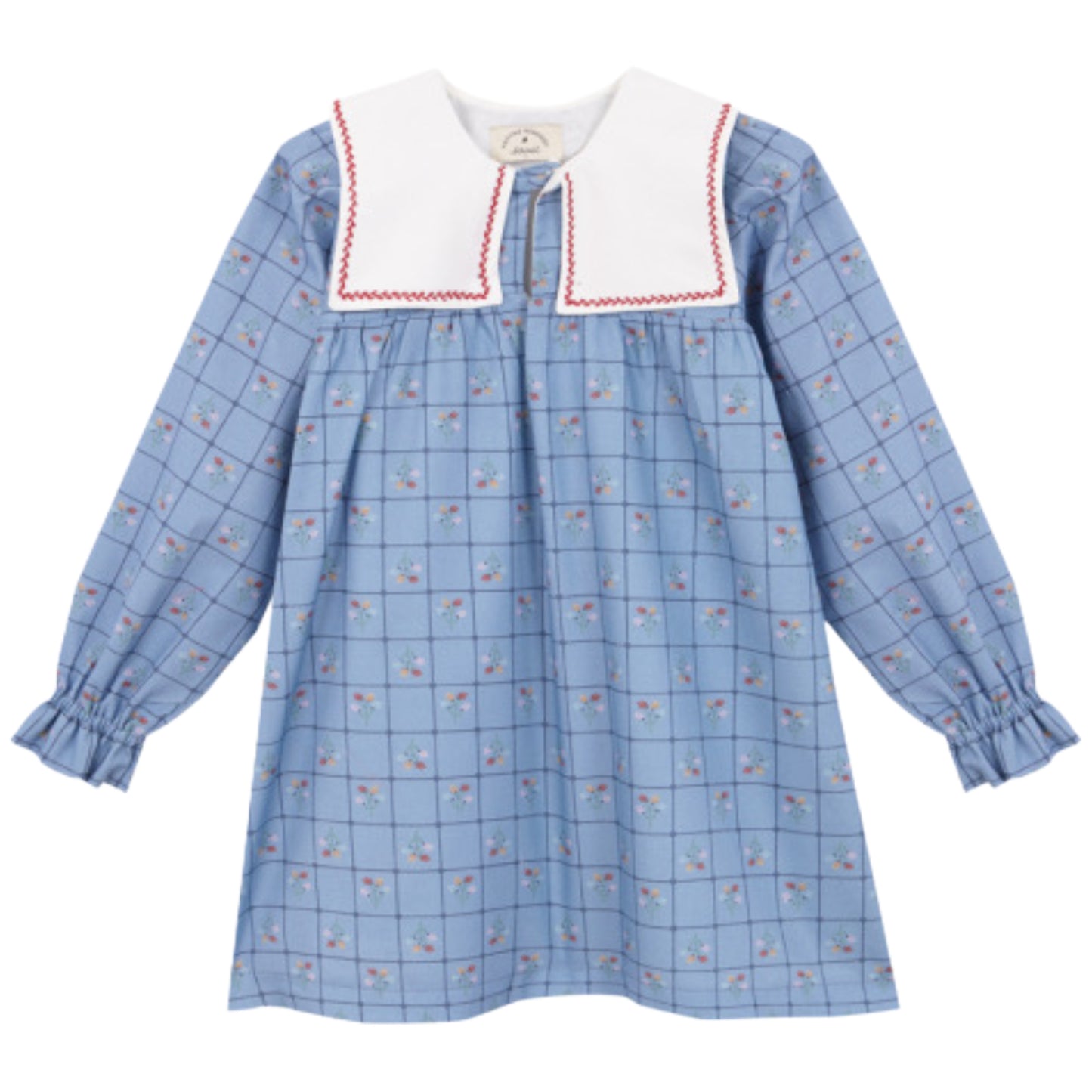 Catherina embroidered dress