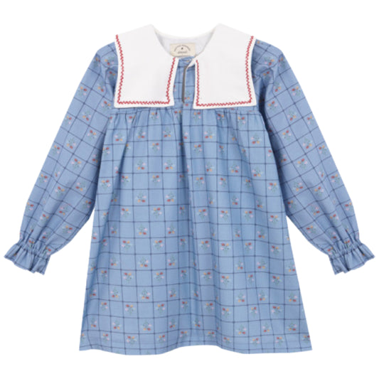 Catherina embroidered dress