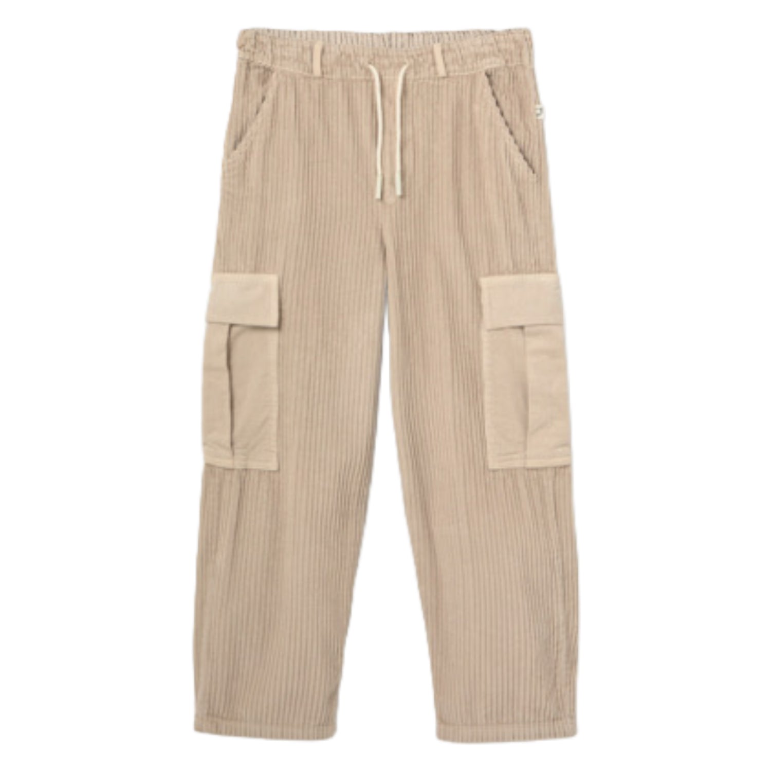 Wide Corduroy Stone Cargo Pants