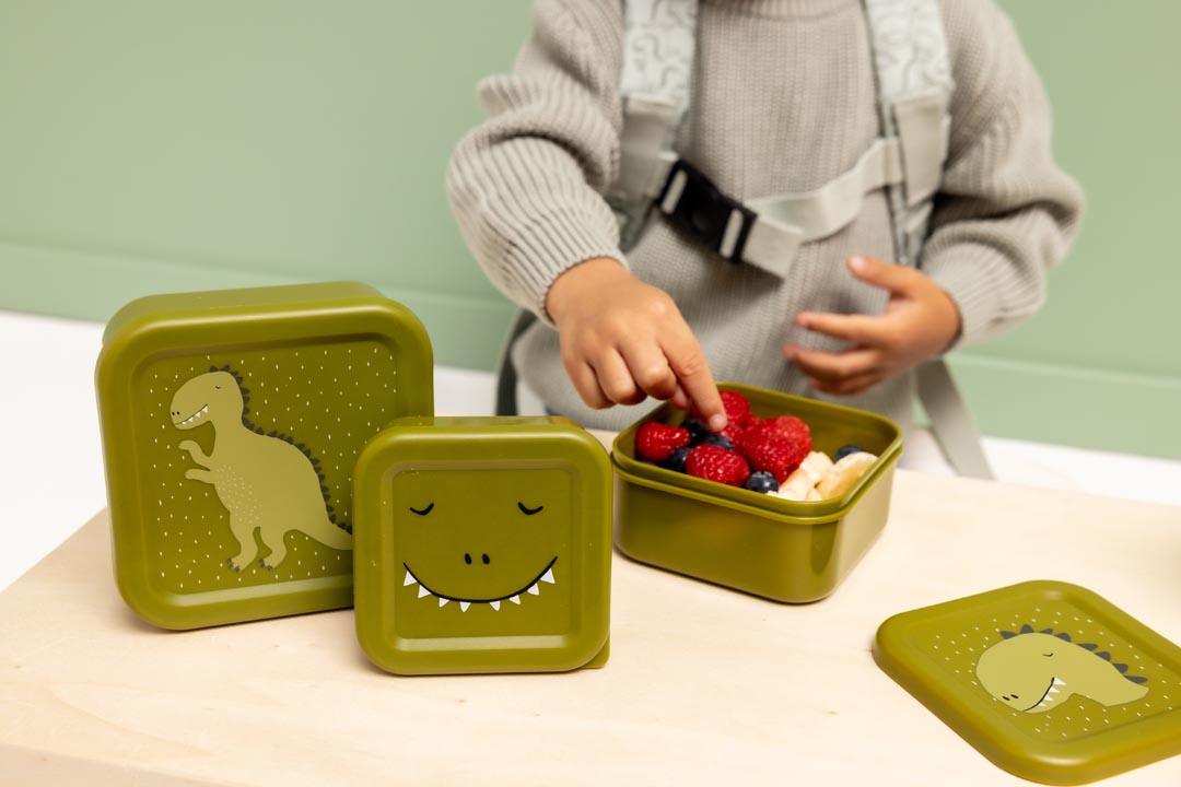 Mr. Dino Snack Box Nesting 3 pcs