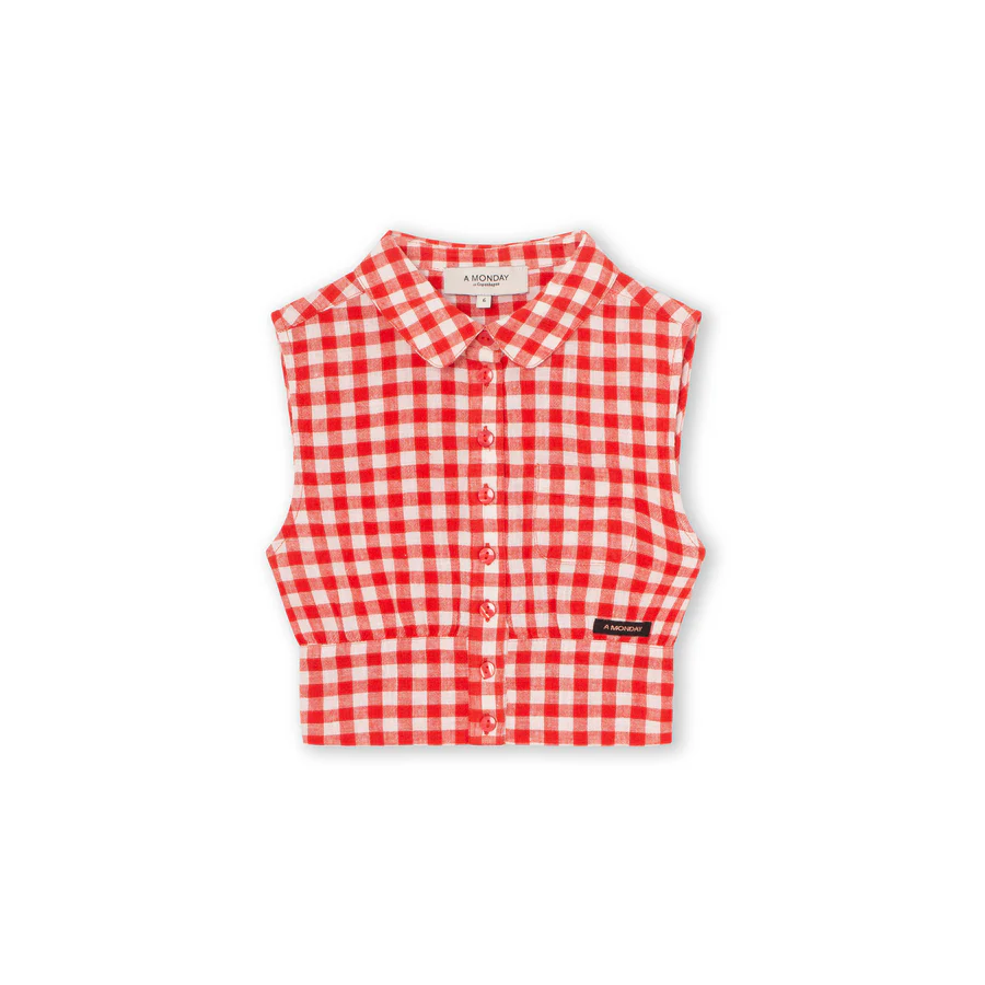 Poppy Check Shirt