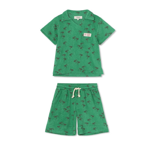 Palm Tree Set