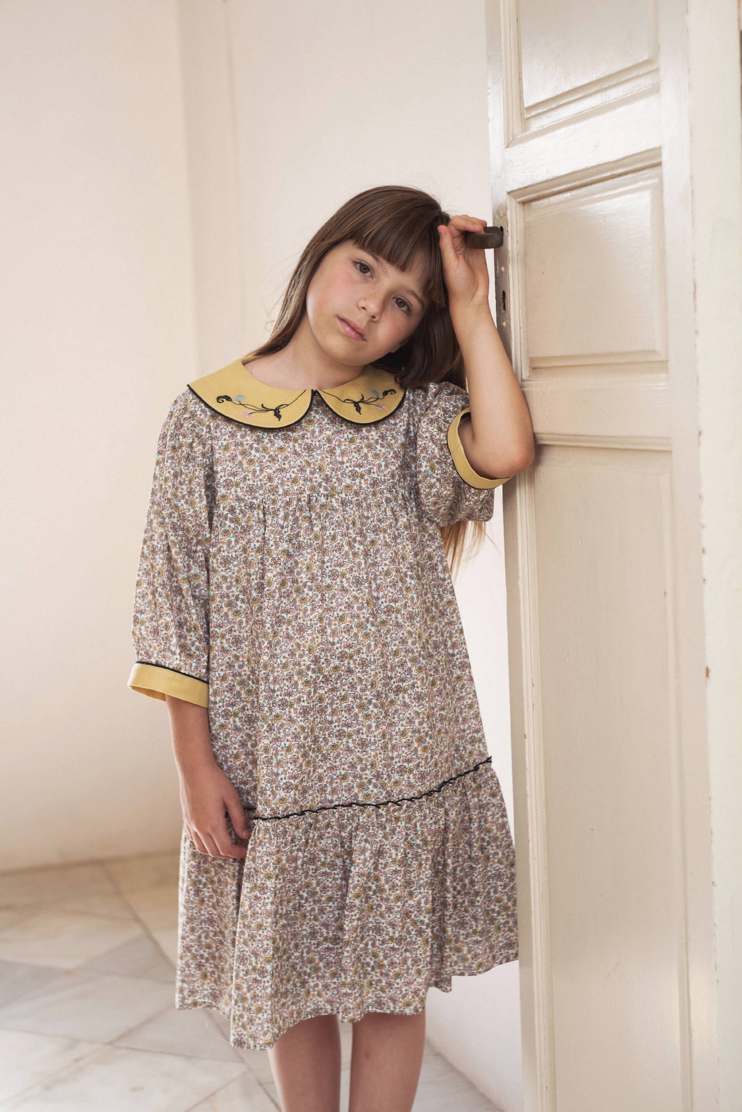 Embroidered  Collar Dress