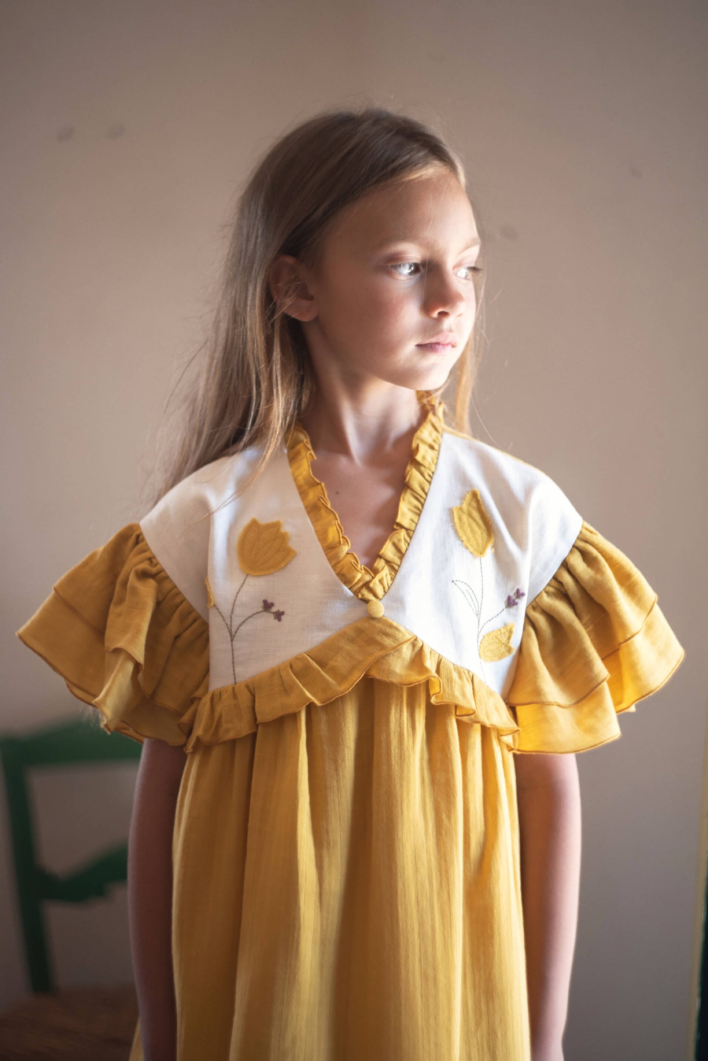 Embroidered Yoke And Appliqué Ochre Dress