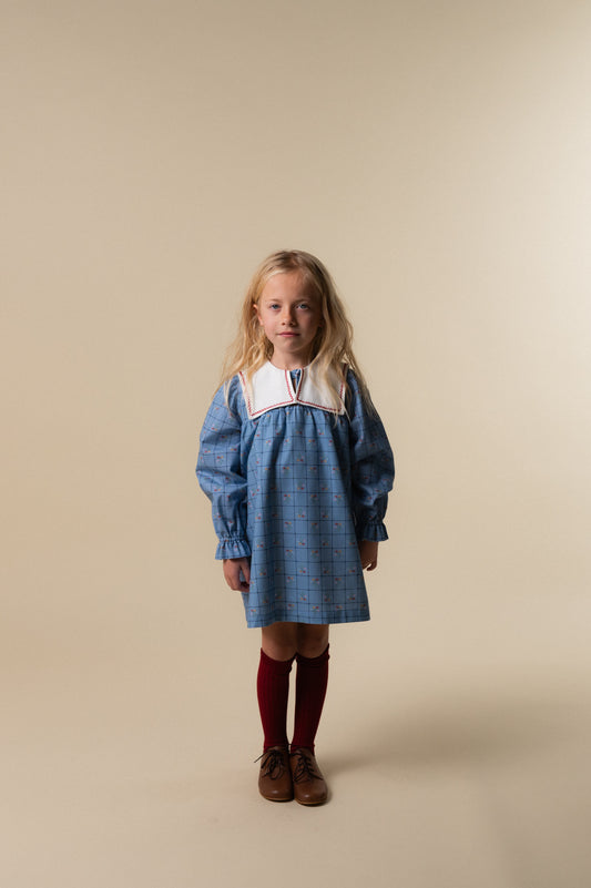 Catherina embroidered dress